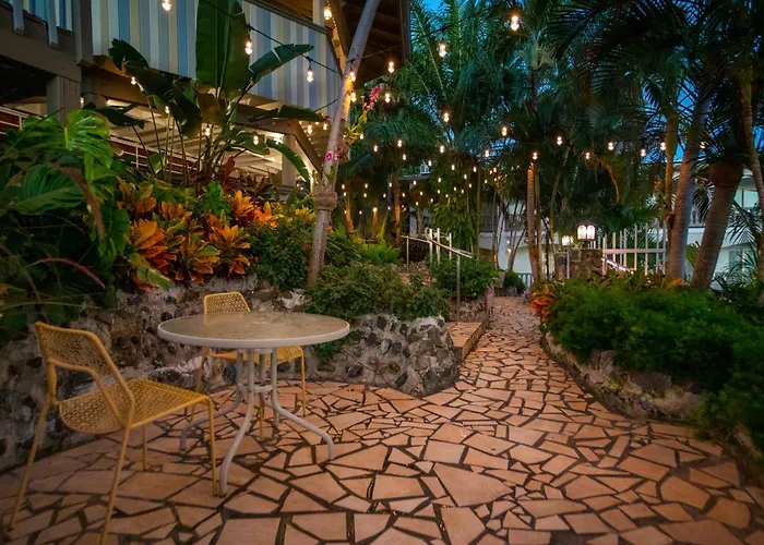 Lazy Parrot Inn Rincon