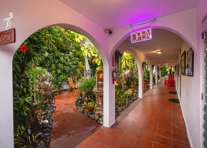 Coconut Palms Inn Rincon