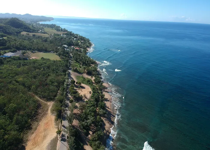 Casa Verde Hotel - Steps To The Beach, Pool, Restaurant & Bar Rincon